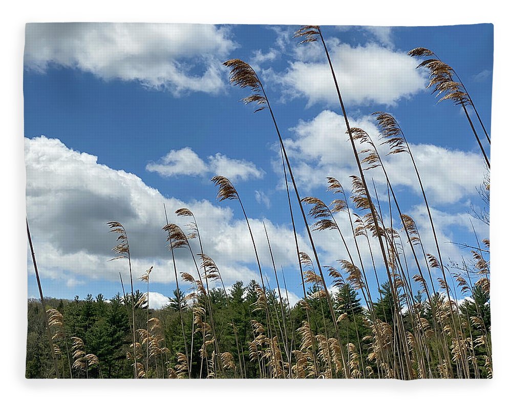 Berkshires Flying Grass - Blanket