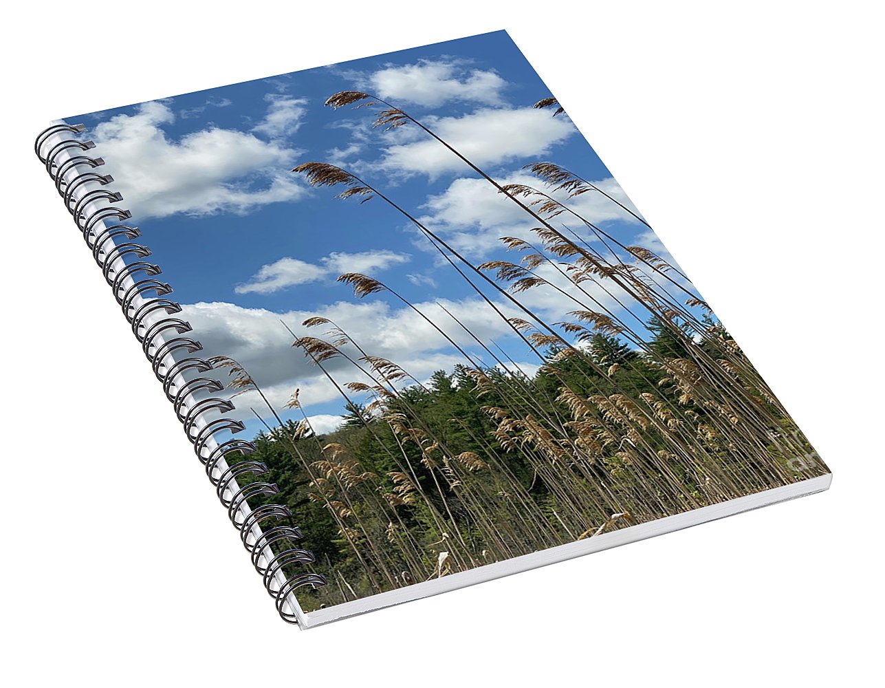 Berkshires Flying Grass - Spiral Notebook