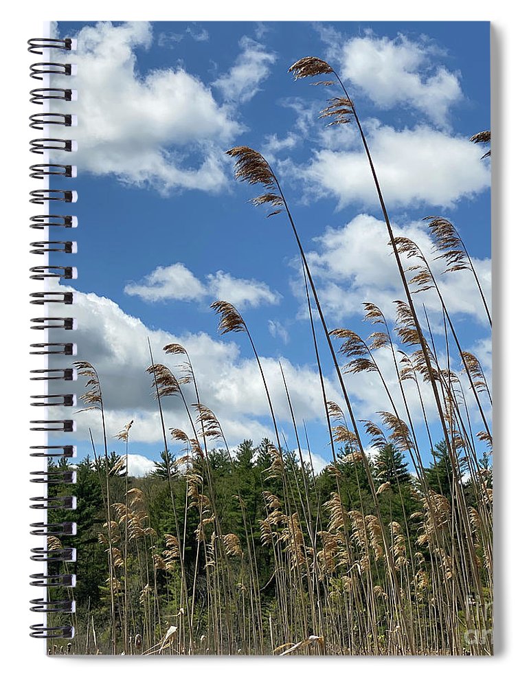 Berkshires Flying Grass - Spiral Notebook