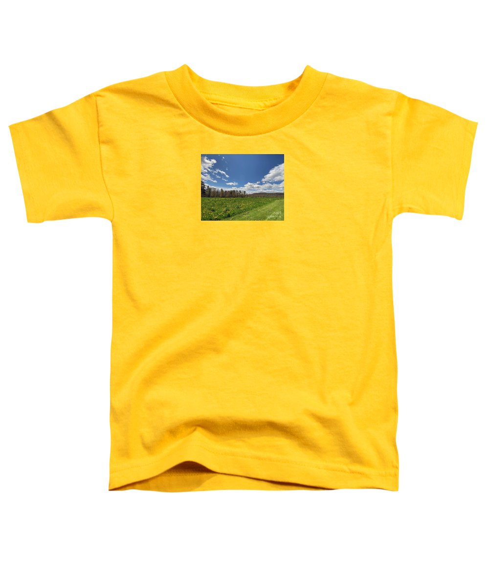 Berkshires Fresh Air - Toddler T-Shirt