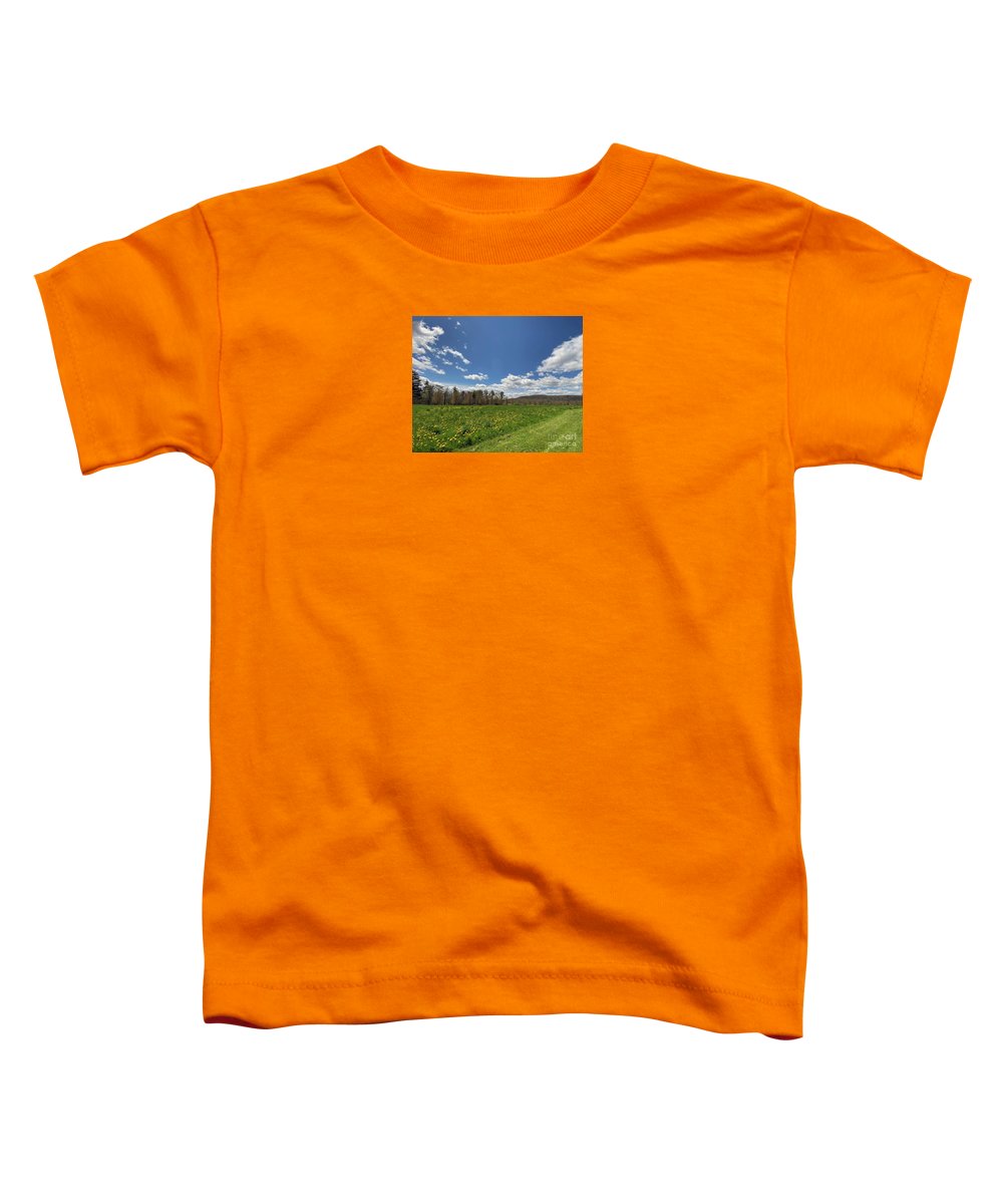 Berkshires Fresh Air - Toddler T-Shirt