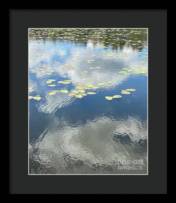 Berkshires Lily Pads 1 - Pond Freshwater - Signs of Spring - Framed Print
