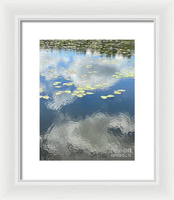 Berkshires Lily Pads 1 - Pond Freshwater - Signs of Spring - Framed Print