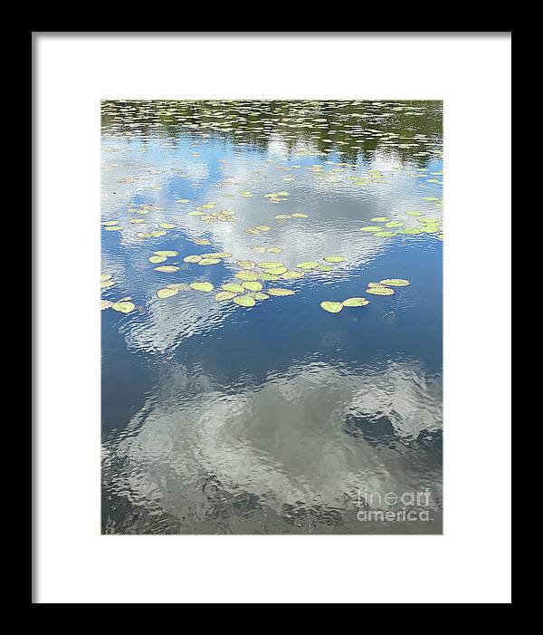 Berkshires Lily Pads 1 - Pond Freshwater - Signs of Spring - Framed Print