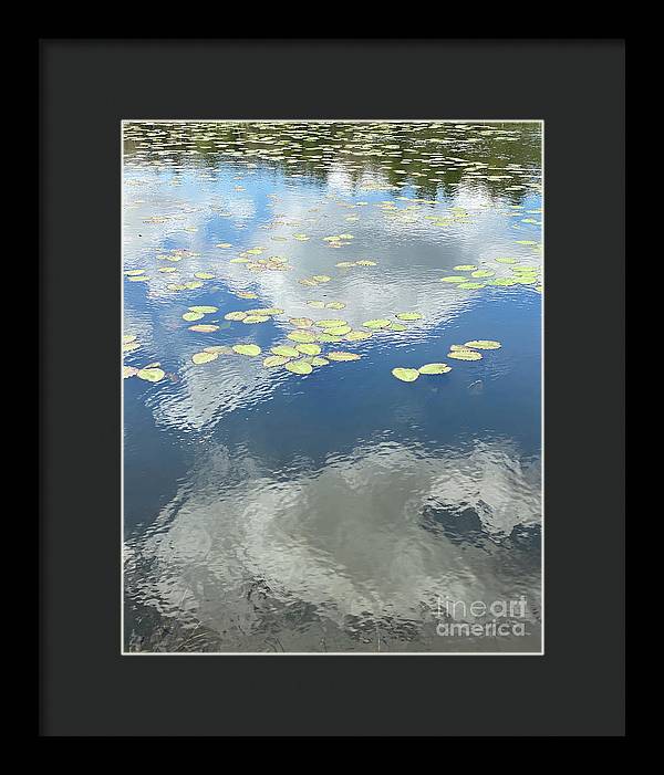 Berkshires Lily Pads 1 - Pond Freshwater - Signs of Spring - Framed Print