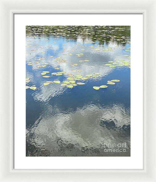 Berkshires Lily Pads 1 - Pond Freshwater - Signs of Spring - Framed Print