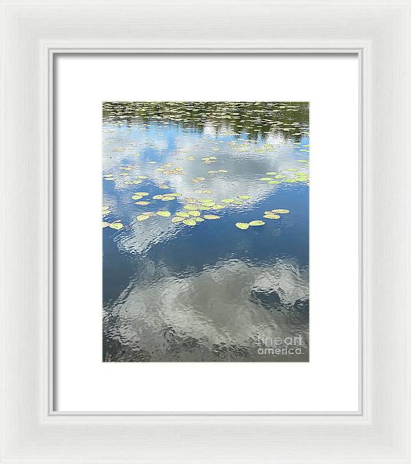 Berkshires Lily Pads 1 - Pond Freshwater - Signs of Spring - Framed Print