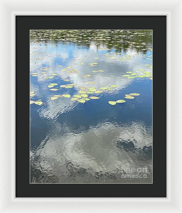 Berkshires Lily Pads 1 - Pond Freshwater - Signs of Spring - Framed Print