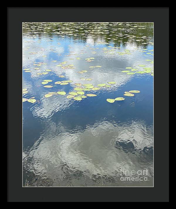 Berkshires Lily Pads 1 - Pond Freshwater - Signs of Spring - Framed Print