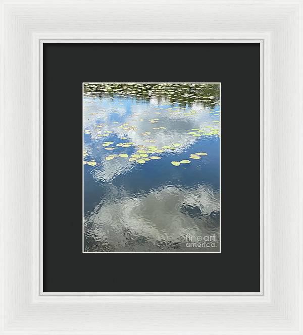 Berkshires Lily Pads 1 - Pond Freshwater - Signs of Spring - Framed Print