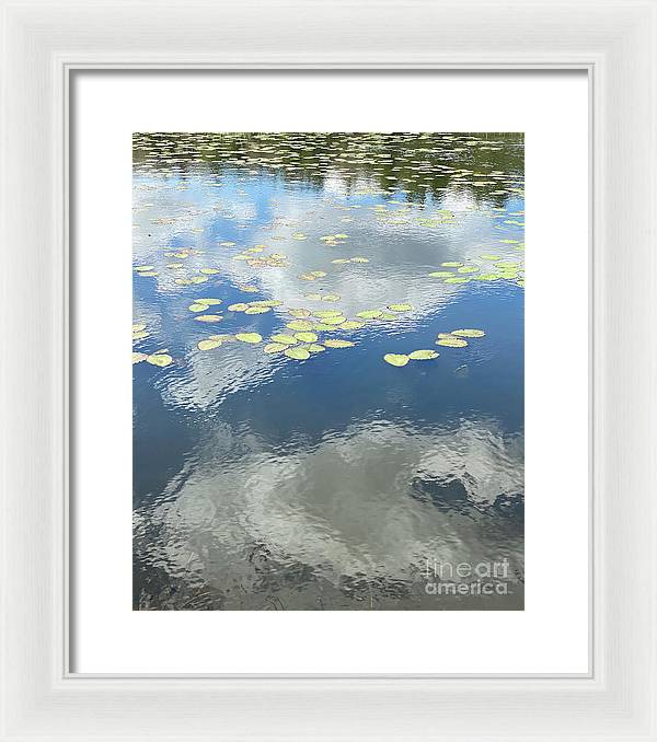 Berkshires Lily Pads 1 - Pond Freshwater - Signs of Spring - Framed Print
