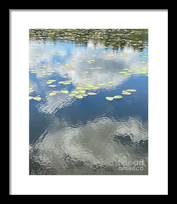 Berkshires Lily Pads 1 - Pond Freshwater - Signs of Spring - Framed Print