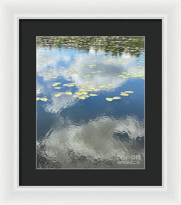 Berkshires Lily Pads 1 - Pond Freshwater - Signs of Spring - Framed Print
