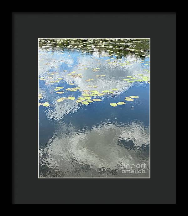 Berkshires Lily Pads 1 - Pond Freshwater - Signs of Spring - Framed Print