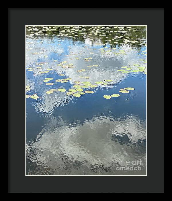 Berkshires Lily Pads 1 - Pond Freshwater - Signs of Spring - Framed Print