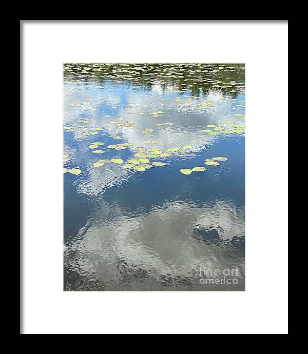 Berkshires Lily Pads 1 - Pond Freshwater - Signs of Spring - Framed Print