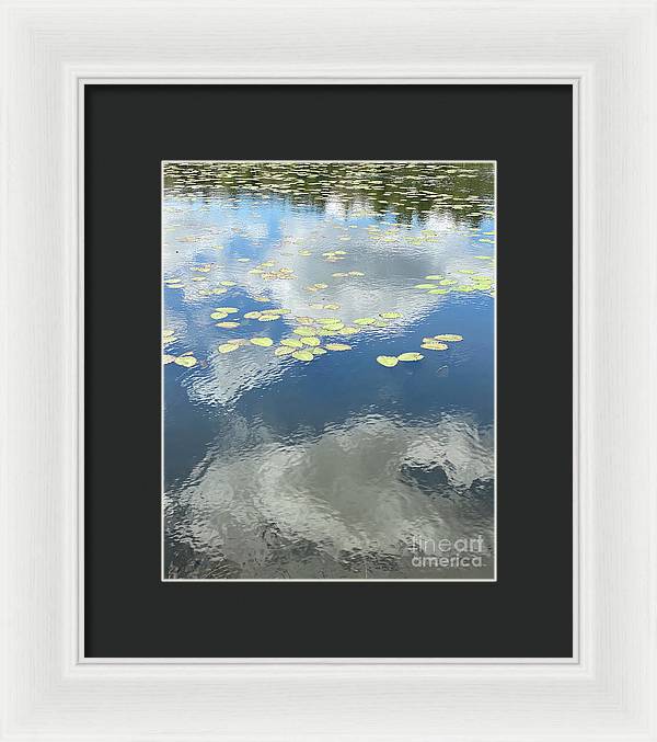 Berkshires Lily Pads 1 - Pond Freshwater - Signs of Spring - Framed Print