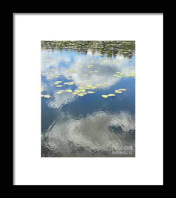 Berkshires Lily Pads 1 - Pond Freshwater - Signs of Spring - Framed Print
