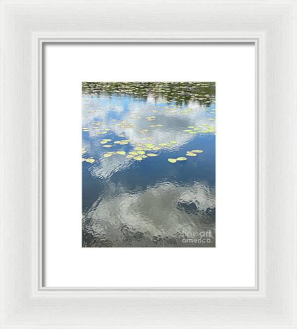 Berkshires Lily Pads 1 - Pond Freshwater - Signs of Spring - Framed Print