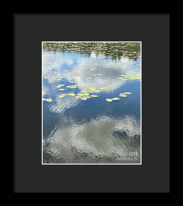 Berkshires Lily Pads 1 - Pond Freshwater - Signs of Spring - Framed Print