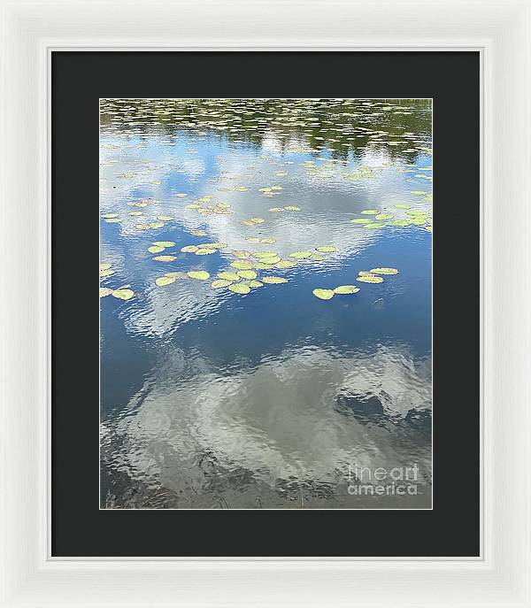 Berkshires Lily Pads 1 - Pond Freshwater - Signs of Spring - Framed Print