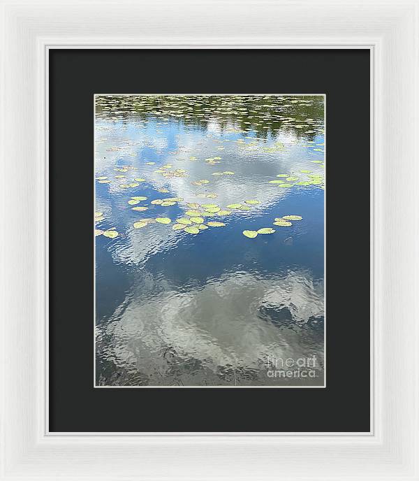 Berkshires Lily Pads 1 - Pond Freshwater - Signs of Spring - Framed Print