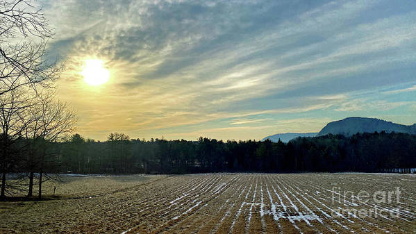 Berkshires - Morning at Gould Meadows - Field Sunrise - Art Print