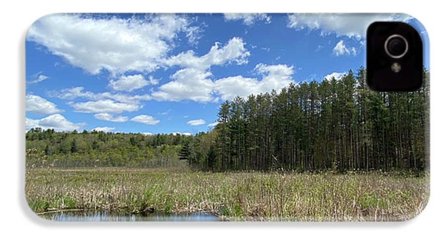 Berkshires Pond Grass 2 - Freshwater Marsh Pines - Phone Case