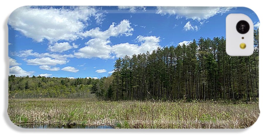 Berkshires Pond Grass 2 - Freshwater Marsh Pines - Phone Case