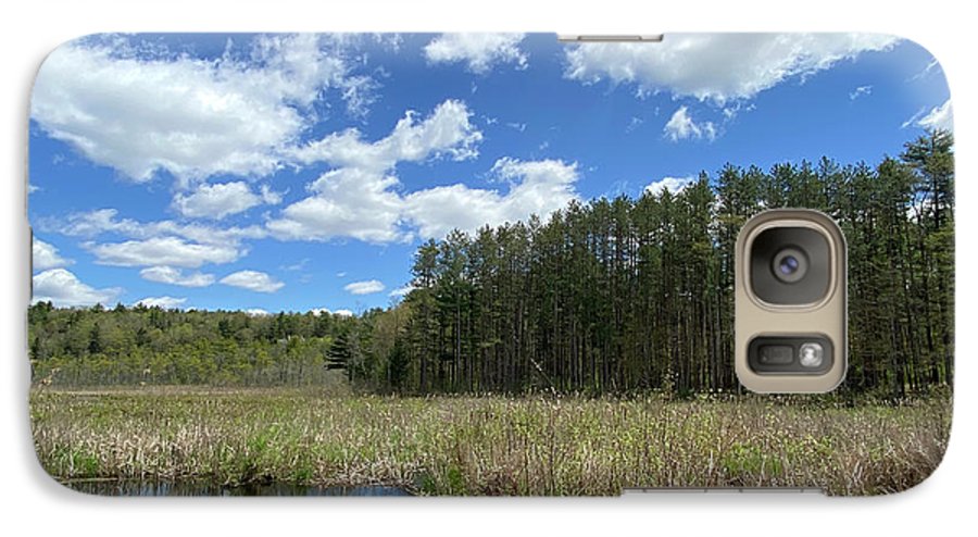 Berkshires Pond Grass 2 - Freshwater Marsh Pines - Phone Case