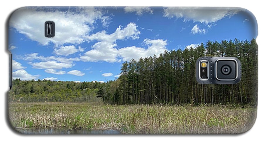 Berkshires Pond Grass 2 - Freshwater Marsh Pines - Phone Case