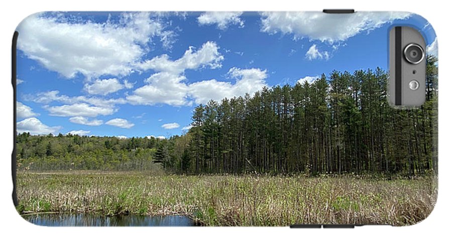 Berkshires Pond Grass 2 - Freshwater Marsh Pines - Phone Case