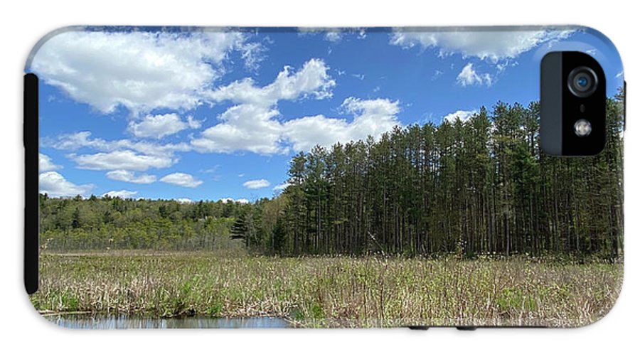 Berkshires Pond Grass 2 - Freshwater Marsh Pines - Phone Case