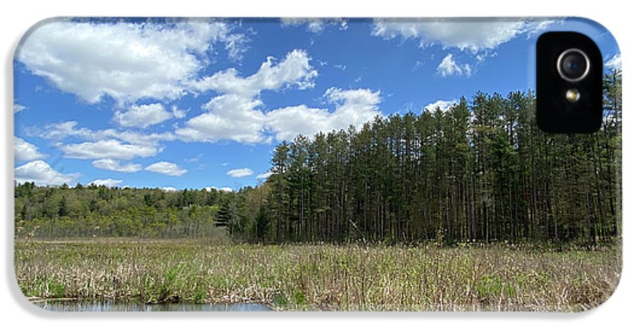 Berkshires Pond Grass 2 - Freshwater Marsh Pines - Phone Case