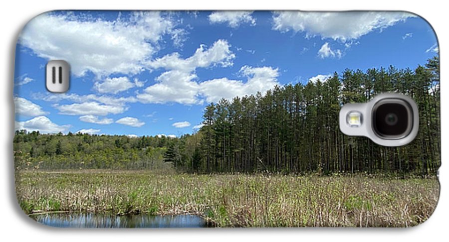 Berkshires Pond Grass 2 - Freshwater Marsh Pines - Phone Case
