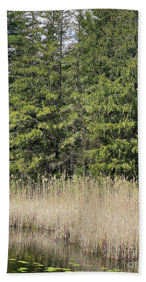 Berkshires Pond Grass - Beach Towel