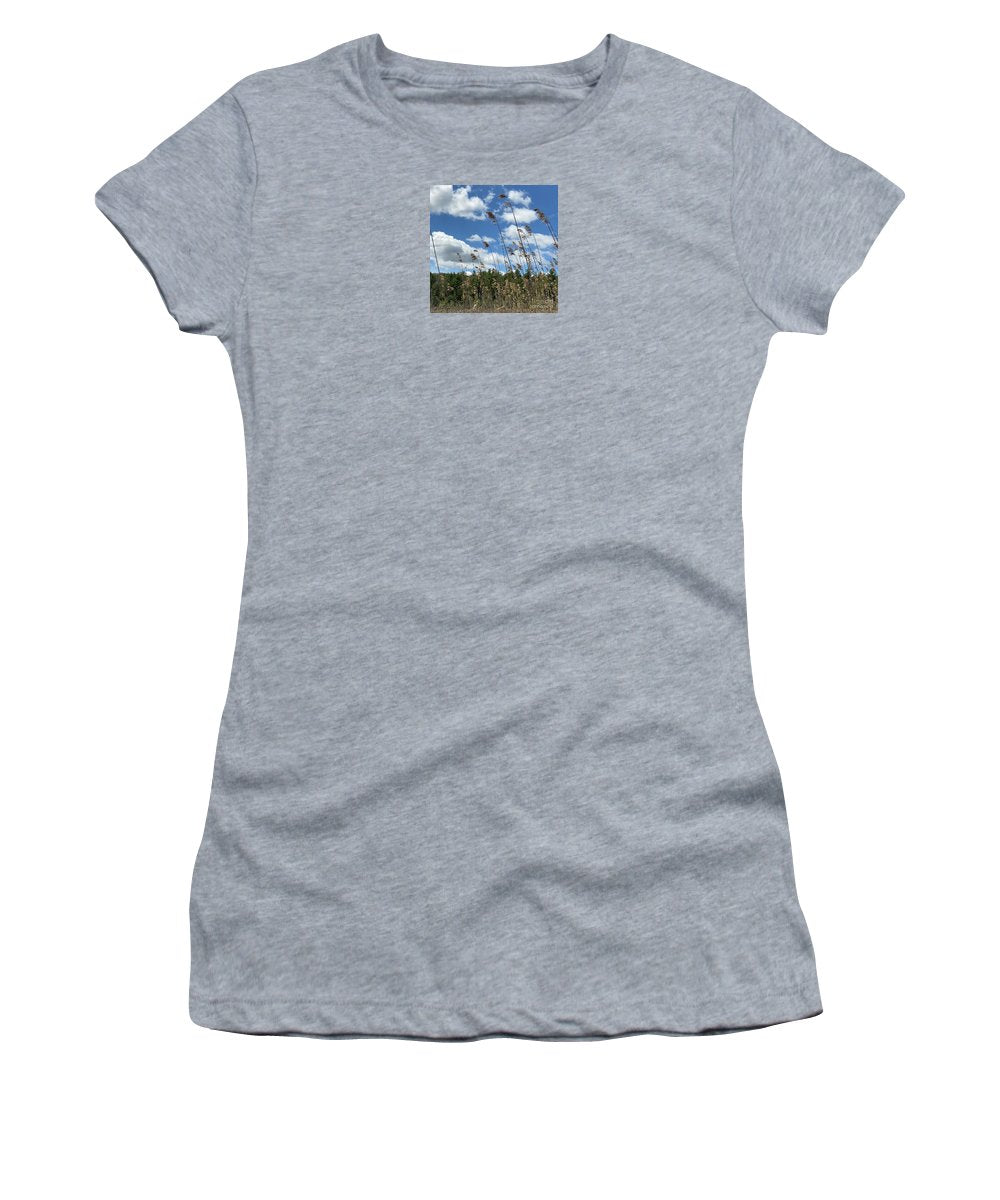 Berkshires Flying Grass - Women's T-Shirt