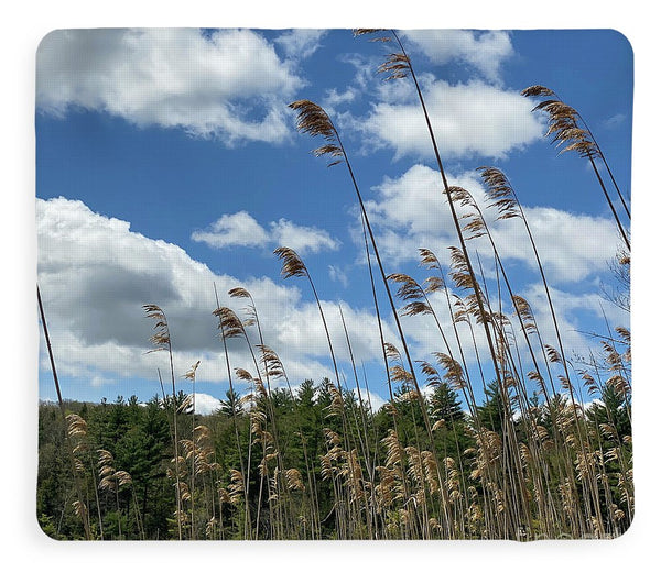Berkshires Flying Grass - Blanket