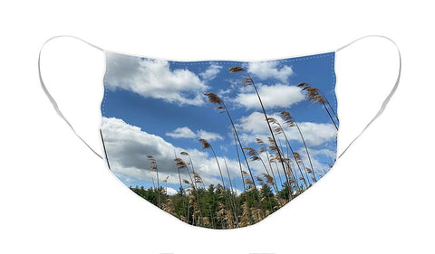 Berkshires Flying Grass - Face Mask