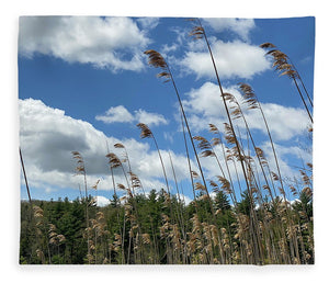 Berkshires Flying Grass - Blanket