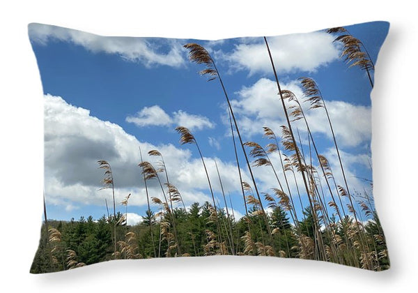 Berkshires Flying Grass - Throw Pillow