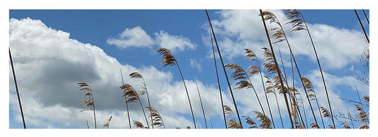 Berkshires Flying Grass - Yoga Mat