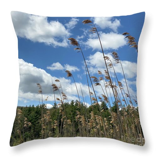 Berkshires Flying Grass - Throw Pillow