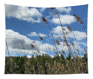 Berkshires Flying Grass - Tapestry
