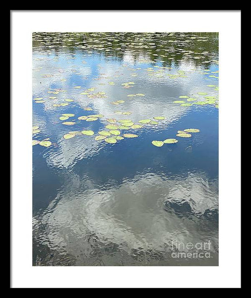 Berkshires Lily Pads 1 - Pond Freshwater - Signs of Spring - Framed Print