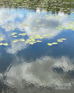Berkshires Lily Pads 1 - Pond Freshwater - Signs of Spring - Art Print