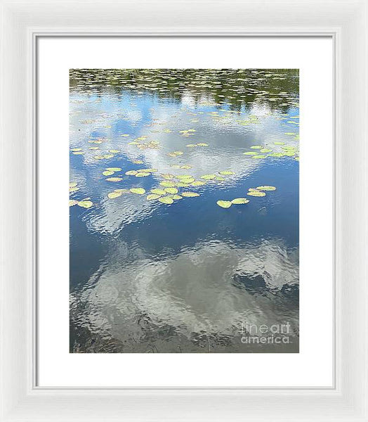 Berkshires Lily Pads 1 - Pond Freshwater - Signs of Spring - Framed Print