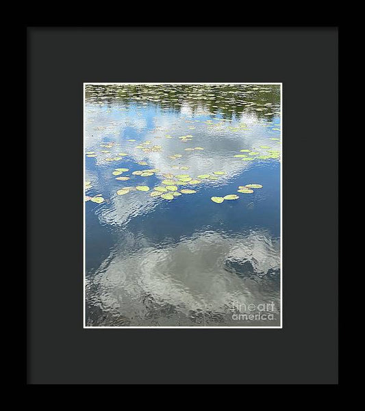 Berkshires Lily Pads 1 - Pond Freshwater - Signs of Spring - Framed Print