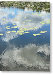 Berkshires Lily Pads 1 - Pond Freshwater - Signs of Spring - Greeting Card