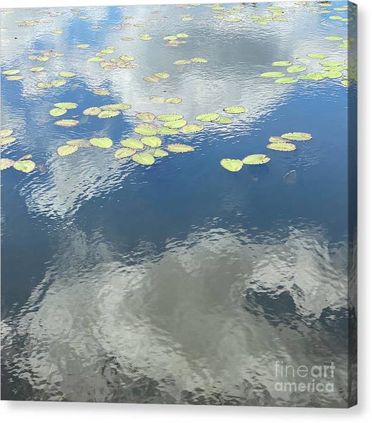 Berkshires Lily Pads 2 - Canvas Print